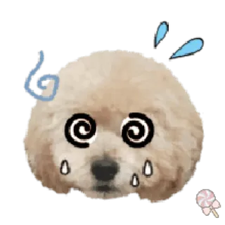 🐶 собака, уставший, мультфильм, измученный, завитки telegram sticker