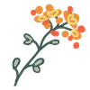 🏵️
