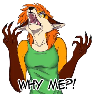 😤 WHY ME?! Furry, Renard, Anthropomorphe, Cartoon, Sticker telegram sticker