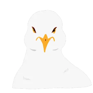 🤨 burung camar, burung, marah, putih, kuning telegram sticker