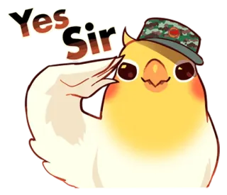 Coca Bird (Xane's Edit) telegram stickers