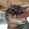 👃