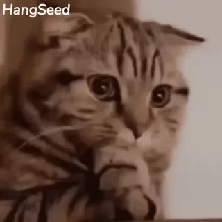 🤔 HangSeed chat, animal, animal de compagnie, félin, mignon, domestique telegram sticker