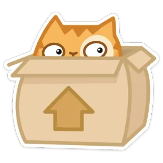 👀 chat, boîte, animal, mignon, drôle, animal de compagnie telegram sticker