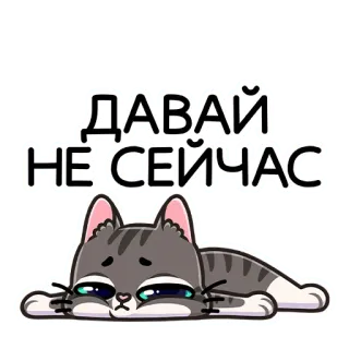 😴 ДАВАЙ НЕ СЕЙЧАС kucing, stiker, rusia, malas, sedih whatsapp sticker