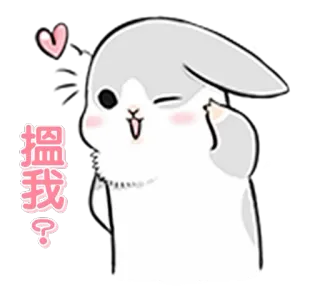 🤗 搵我? królik, słodki, serce, pytanie, kreskówka, zwierzę telegram sticker