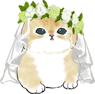 👰‍♀️ cat, wedding, bride, kitten, cute, flowers, animal telegram sticker