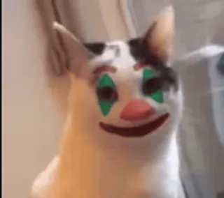 🤡 kat, clown, meme, grappig, huisdier, dier telegram sticker