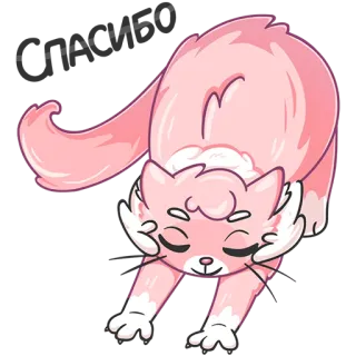 😌 кот, розовый, милый, каваий, животное, наклейка, питомец whatsapp sticker
