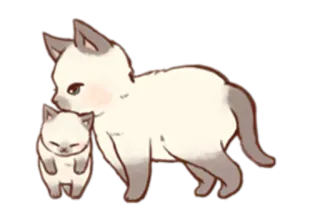 🐈 chat, chaton, mignon, animal, siamois, animal de compagnie telegram sticker