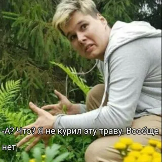 🌿 -А? Что? Я не курил эту траву. Вообще нет 人, 植物, 草, 文本 telegram sticker