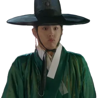 😱 homme, chapeau, costume, vert, traditionnel, coréen telegram sticker
