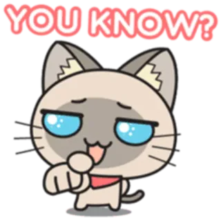 👆 YOU KNOW? cat, cute, question, meme whatsapp sticker