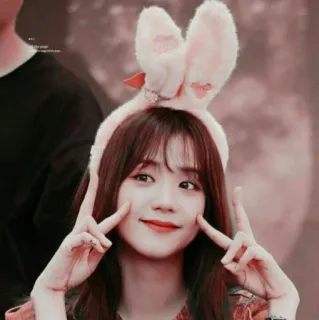 ✌️ Jisoo Jisoo, Kpop, Blackpink, kelinci, idola, imut whatsapp sticker