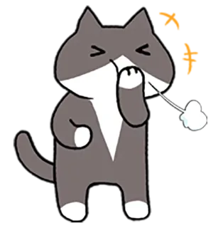 🤣 chat, dessin animé, animal, autocollant, gris, mignon whatsapp sticker