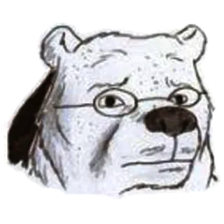 😁 urso, animal, óculos, desenho animado, ilustração telegram sticker
