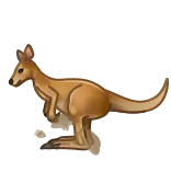 🦘
