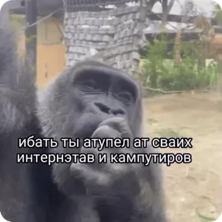 Больше стиков тут: @stikery4 telegram stickers