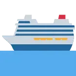 🛳️