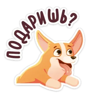 😛 подаришь? corgi, cachorro, adesivo, animal, fofo telegram sticker