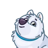 😘 개, 허스키, 동물, 애완동물, 스티커, 만화 whatsapp sticker