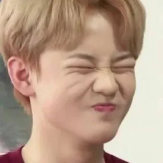 😆 telegram sticker