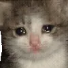 🥺