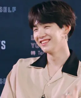🍃 Suga LOVE YOURSELF kpop, bts, idol, zanger, min yoongi telegram sticker