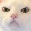 😠