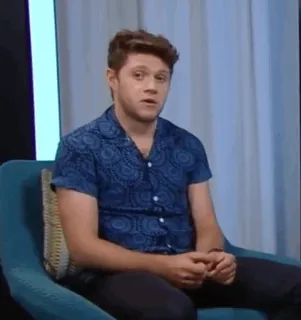🎸 Niall Horan Niall Horan, cantor, celebridade, homem, retrato telegram sticker