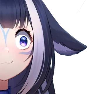 🦈 whatsapp sticker