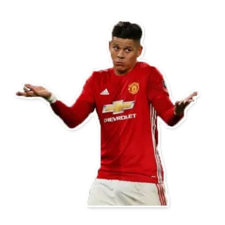 😗 Pemain sepak bola, Manchester United, Atlet, Sepak bola, Sepak bola telegram sticker