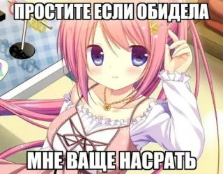 🫢 ПРОСТИТЕ ЕСЛИ ОБИДЕЛА
МНЕ ВАЩЕ НАСРАТЬ anime, girl, pink hair, cartoon, apology, indifference telegram sticker