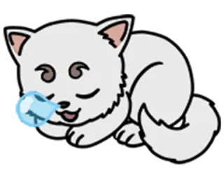 😪 chat, chaton, dormir, mignon, animal, animal de compagnie telegram sticker