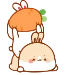 😾 lapin, lapinou, mignon, kawaii, animal, dessin animé, animé, chibi whatsapp sticker