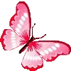 🦋