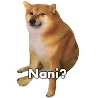 🐶 Nani? โดจ, หมา, มีม, นานิ, ตกใจ, ชิบะอินุ whatsapp sticker