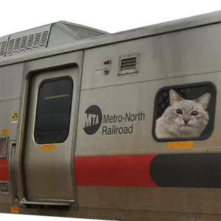🚃 MTA Metro-North Railroad cat, train, Metro-North, railroad, pet, animal telegram sticker
