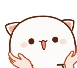 🥺 고양이, 귀여운, 동물, 카와이, 스티커 whatsapp sticker