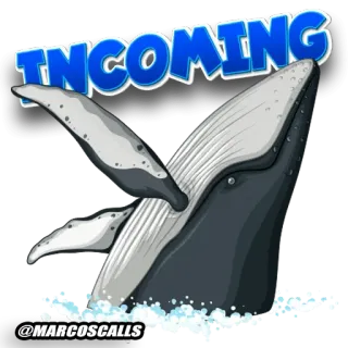 😎 INCOMING
@MARCOS CALLS whale, incoming, water, ocean, animal, sea, alert telegram sticker