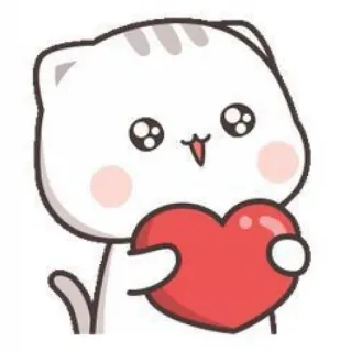 🧉 cat, heart, cute, love, cartoon, animal, sticker telegram sticker
