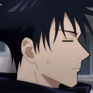 🐺 Megumi Fushiguro Jujutsu Kaisen Anime, Jujutsu Kaisen, Megumi, Fushiguro, Charakter, Profil whatsapp sticker