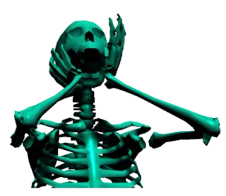 😃 scheletro, teschio, anatomia, ossa, halloween telegram sticker