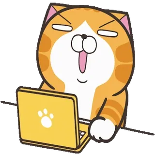 😩 猫, 笔记本电脑, 电脑, 橙色, 动物, 搞笑 telegram sticker