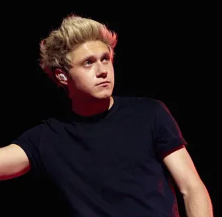 🍕 Niall Horan Niall Horan, Músico, Cantante, Celebridad, One Direction telegram sticker