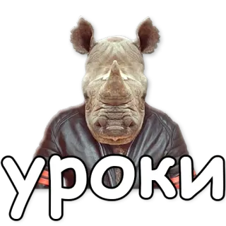 🎓 УРОКИ rhinocéros, animal, portrait, mème, russe telegram sticker