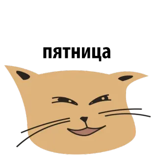 🍷 ПЯТНИЦА gato, animal, animal de estimação, engraçado, fofo, sexta-feira telegram sticker