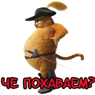 😼 Puss in Boots Shrek ЧЕ ПОХАВАЕМ? Katze, Schwert, Hut, Der gestiefelte Kater, Shrek, Cartoon whatsapp sticker