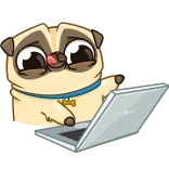💻