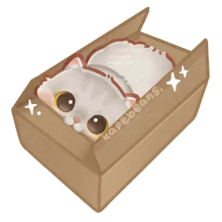 ✨ kapebeans. kucing, kotak, imut, hewan, peliharaan, anak kucing, lucu whatsapp sticker